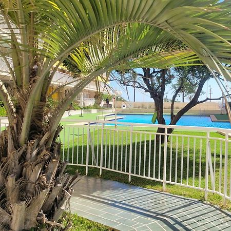 Apartamento Aguamarina Gandia Playa de Gandía Exterior foto